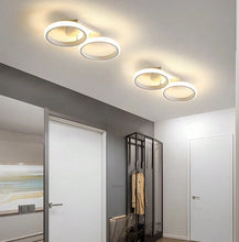 Load image into Gallery viewer, LED Mounted Ceiling Lamp Decorative Lights Black/White Round Ceiling Lights 3 Color Lights
