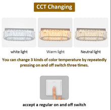 Load image into Gallery viewer, LED Ceiling Light Modern Light Luxury Crystal Oval Design Silver 28cm
