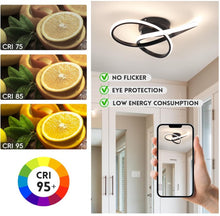 Load image into Gallery viewer, LED Black Ceiling Light Dimmable with Remote Control 40cm Modern Ceiling Lamp
