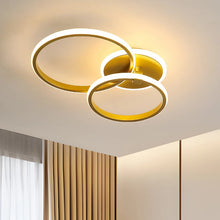 Load image into Gallery viewer, Ceiling Light White/Gold Round 42W Modern LED Ceiling Light Warm White
